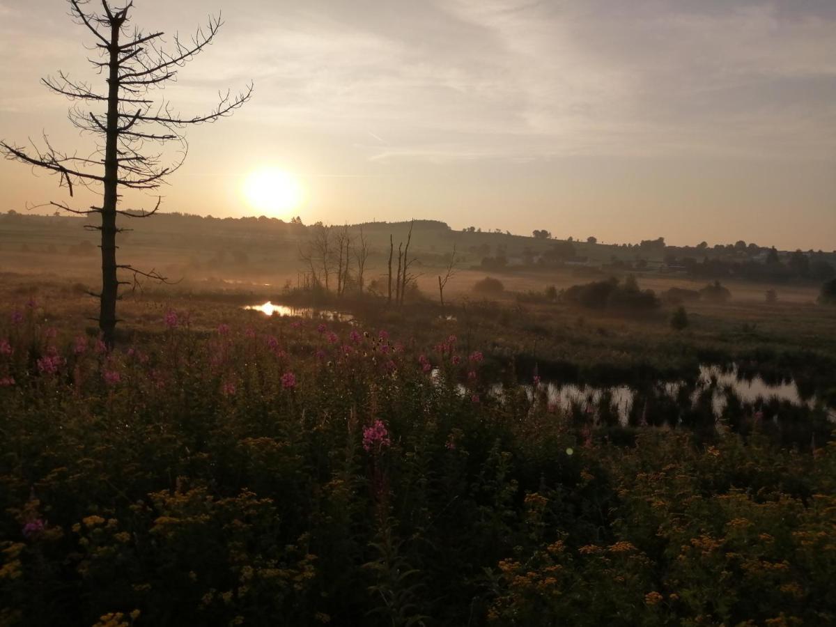Eifel Lodge Butgenbach Dış mekan fotoğraf