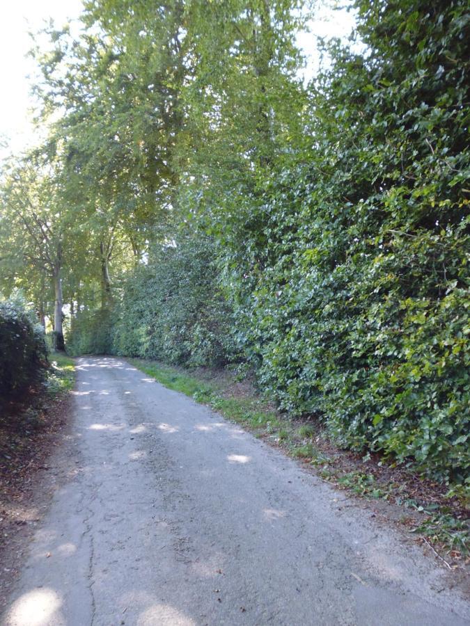 Eifel Lodge Butgenbach Dış mekan fotoğraf