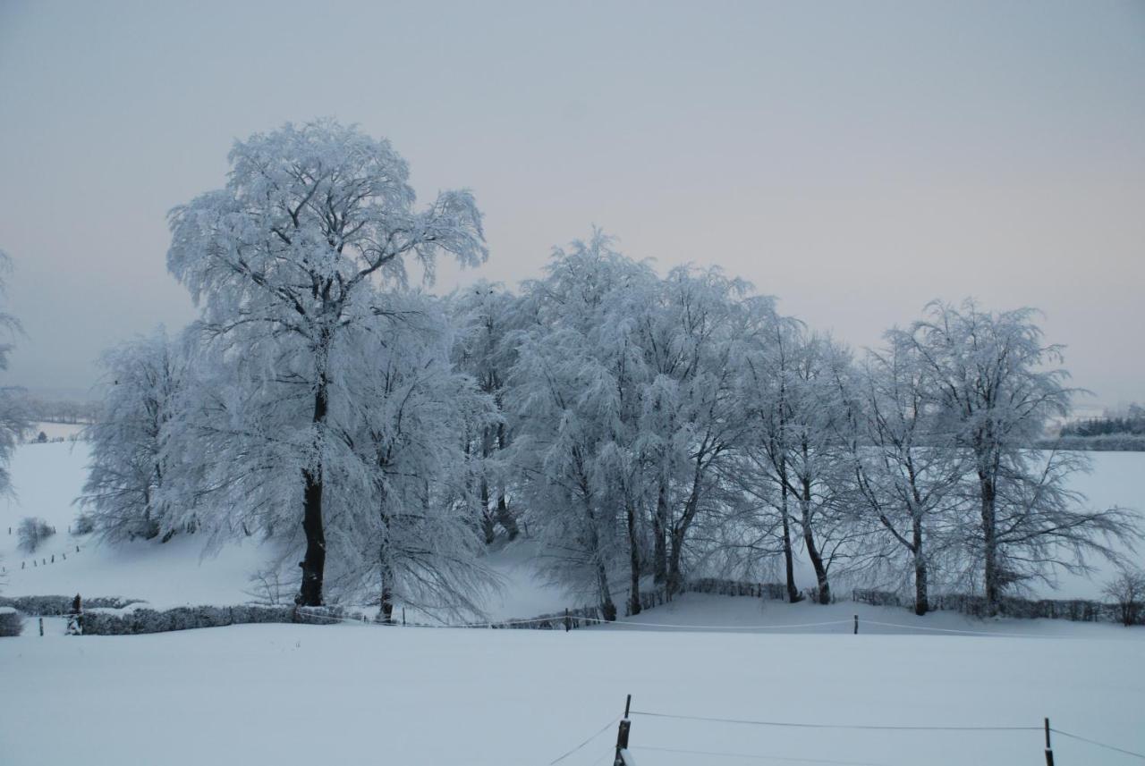 Eifel Lodge Butgenbach Dış mekan fotoğraf